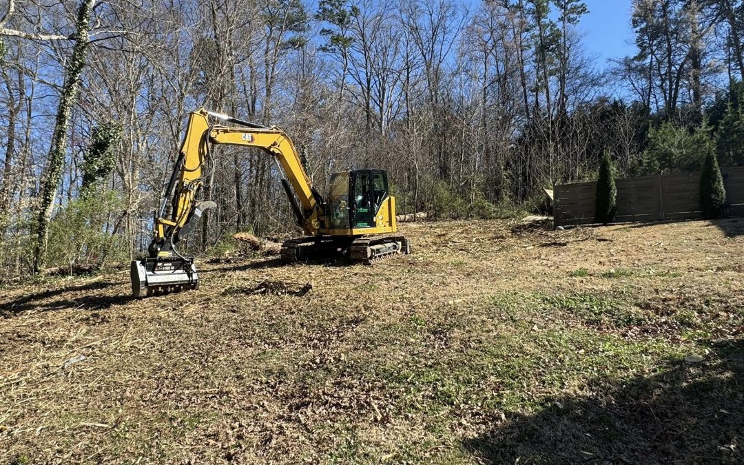 Forestry Mulching to Clear Land for Development in Knoxville