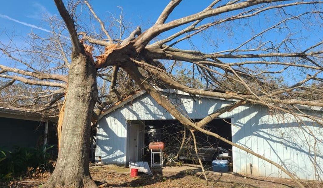 Emergency Tree Removal After a Storm in Knoxville