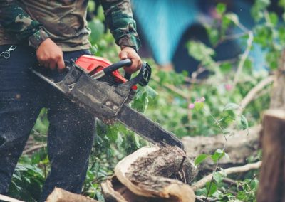 Emergency Tree Removal Knoxville TN