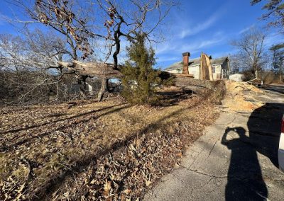 Emergency Tree Services Knoxville TN