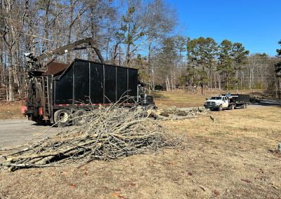 Tree Removal Gatlinburg TN