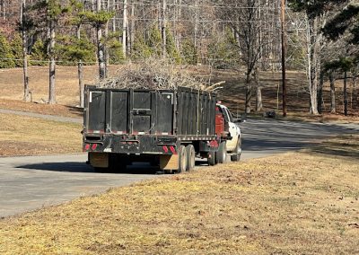 Tree Removal Removal Knoxville TN