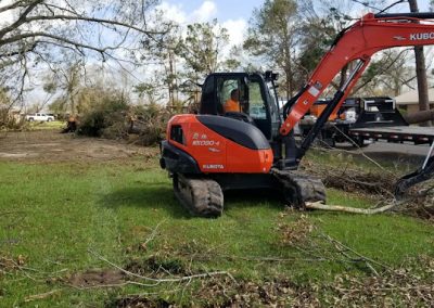 Tree Services Jefferson City TN