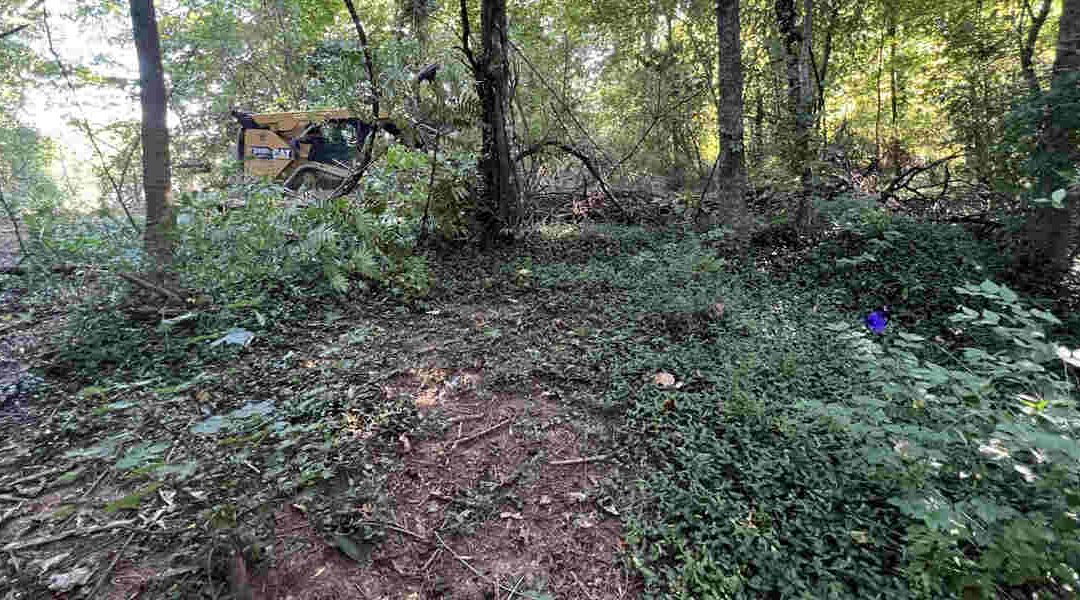 Forestry Mulching vs. Traditional Land Clearing